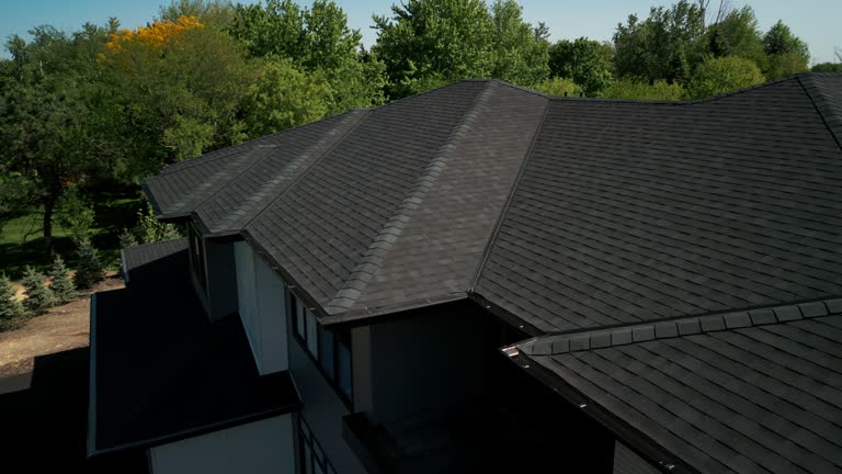 Best Roof Moss and Algae Removal  in Al Creek, CO