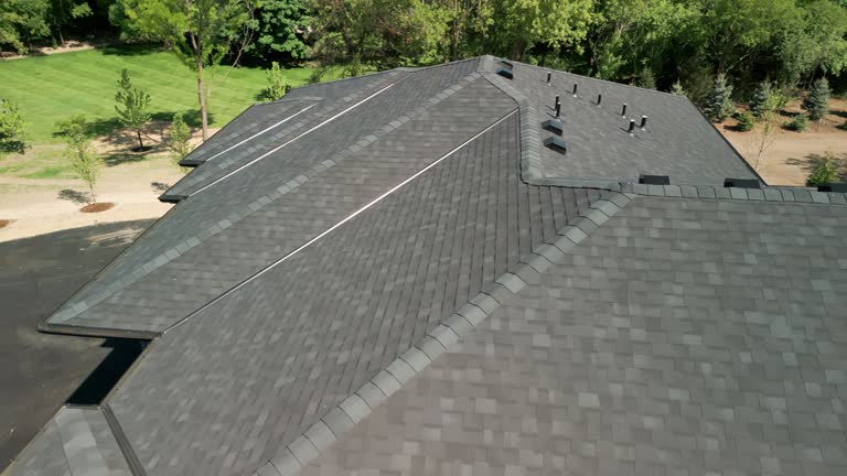 Best Sheet Metal Roofing  in Al Creek, CO
