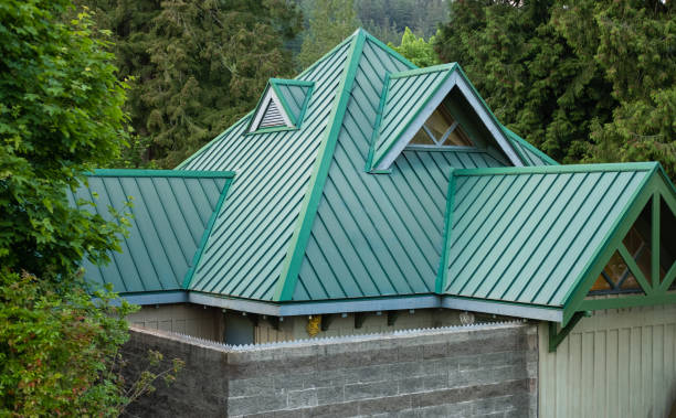 Best Roof Maintenance and Cleaning  in Al Creek, CO