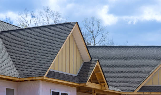 Best Skylight Installation and Repair  in Al Creek, CO