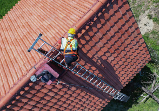 Best Roof Coating and Sealing  in Al Creek, CO