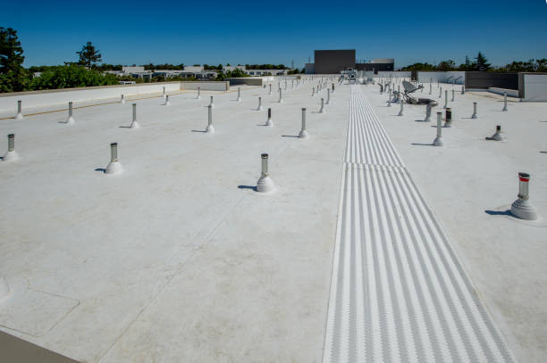 Best Solar Panel Roofing Installation  in Al Creek, CO